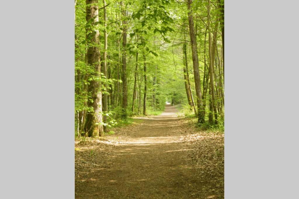 Charmant F2 de 30m2 moin cher à 15min à pied de la forêt, et à 25 min de Paris Le Mée-sur-Seine Extérieur photo